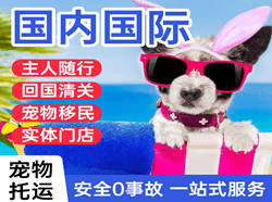 赣州黄金机场托运国际宠物托运 【国